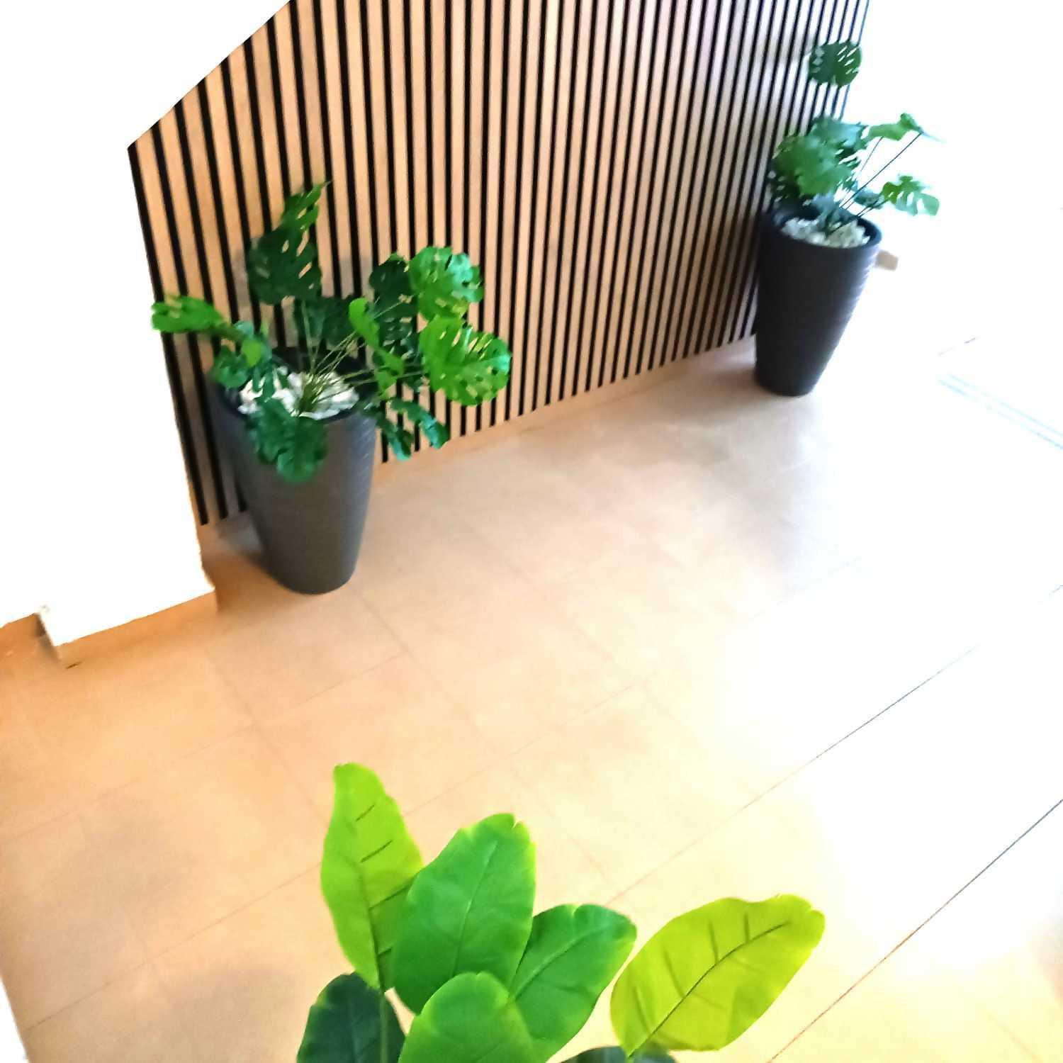 Apartamentos Larios Малага Экстерьер фото